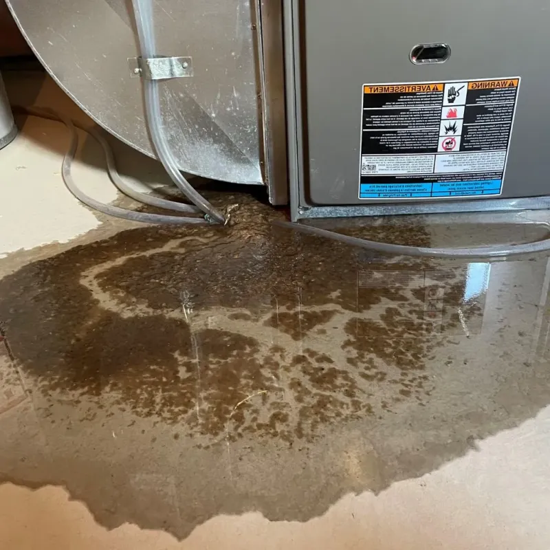 Pipe Burst and Leak Restoration in Linntown, PA