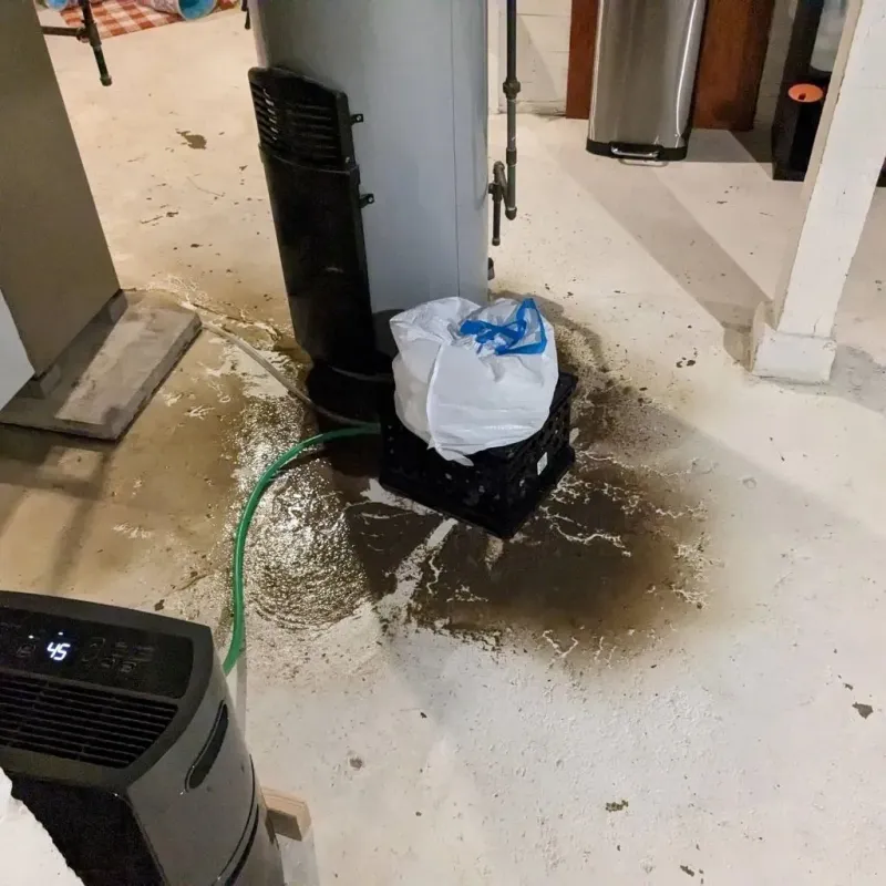 Sewage Backup Cleanup Service in Linntown, PA